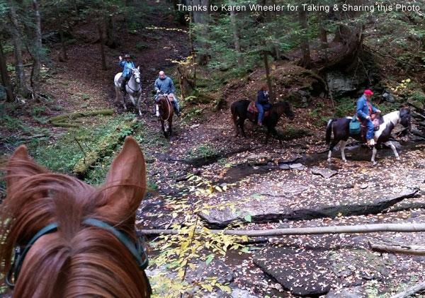 Riding Trails